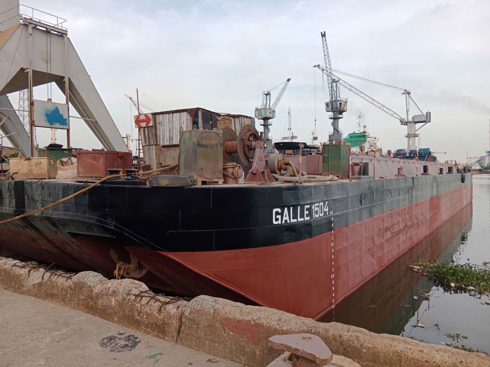GALLE1504
